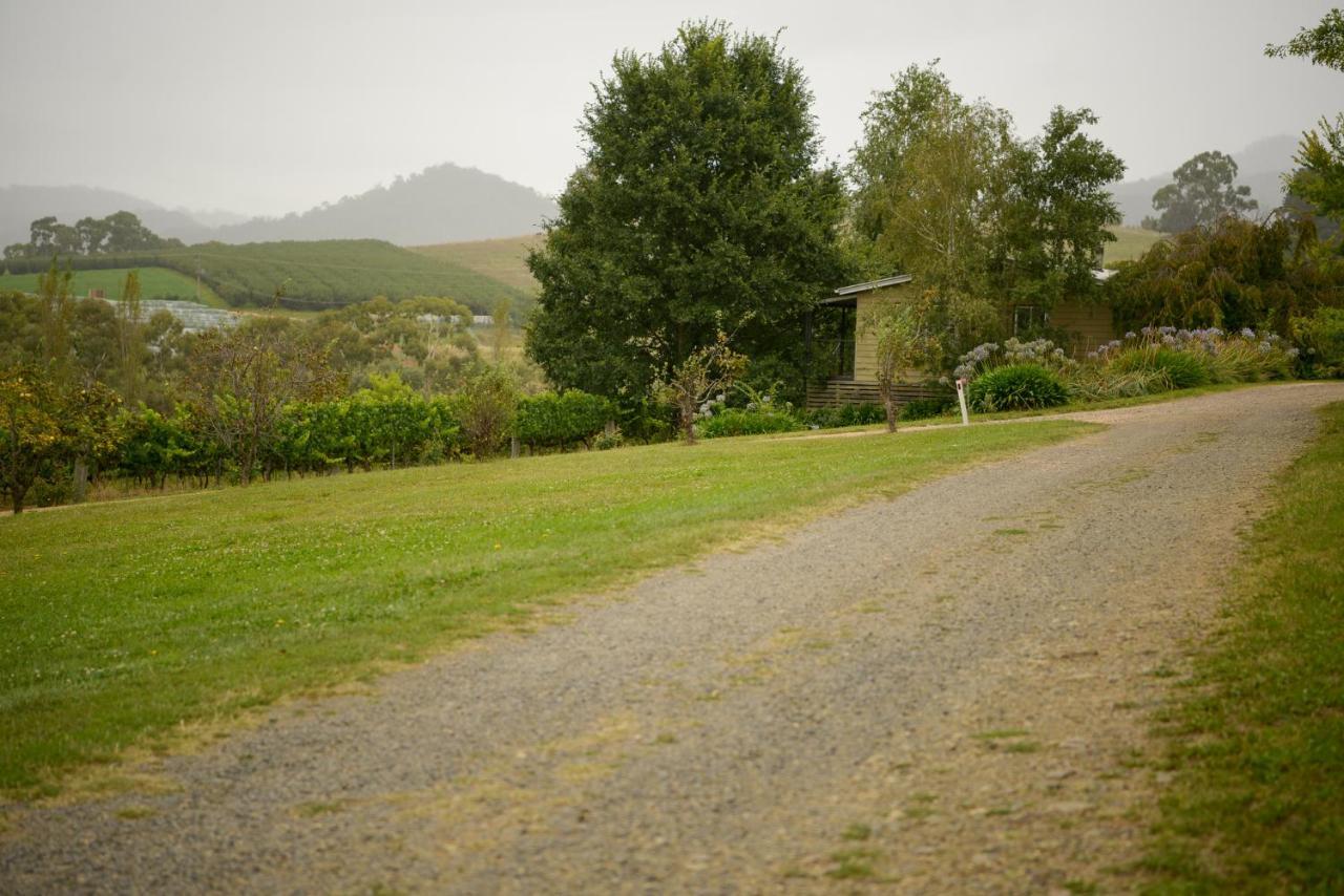 מלון אורנג' Borrodell Vineyard מראה חיצוני תמונה