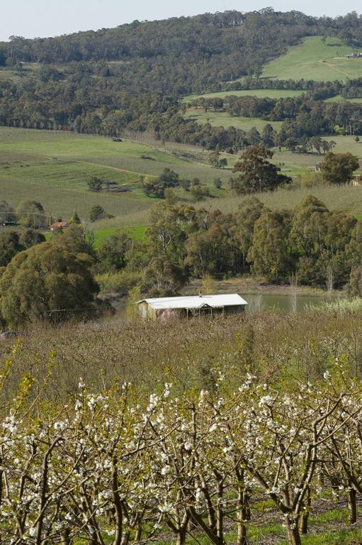 מלון אורנג' Borrodell Vineyard מראה חיצוני תמונה