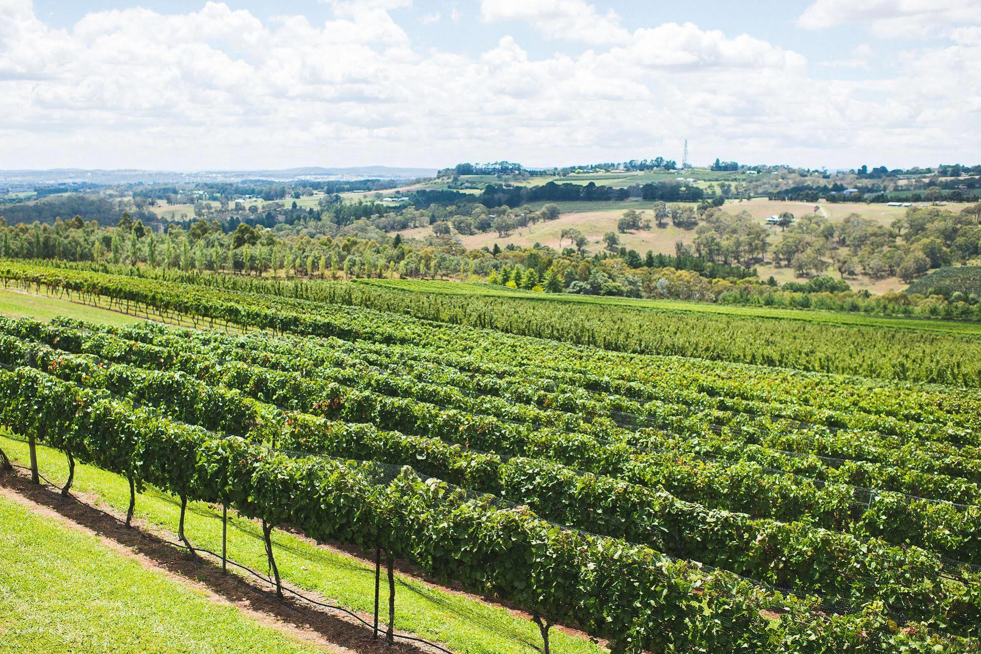 מלון אורנג' Borrodell Vineyard מראה חיצוני תמונה